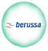 berrusa doğalgaz soba servisi