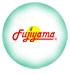 fujiyama doğalgaz soba servisi